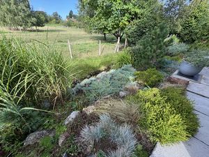 HERBACEOUS BORDER- click for photo gallery